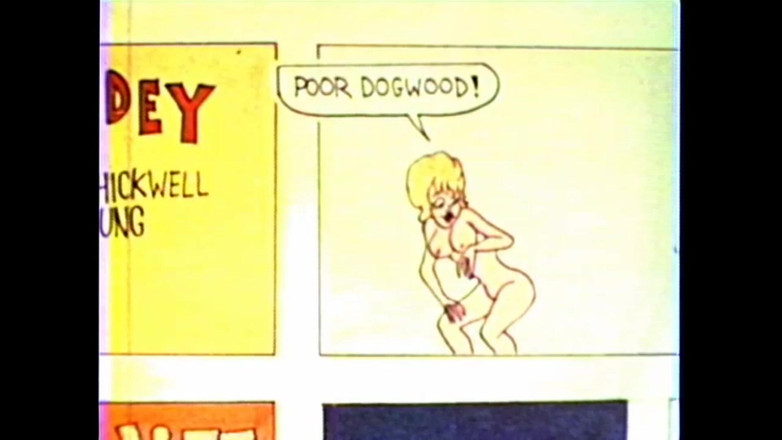 Vintage Usa: Seksuele Avonturen in Cartoons
