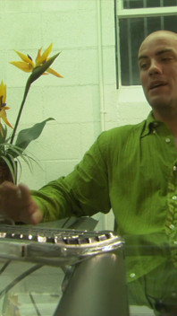 taaja