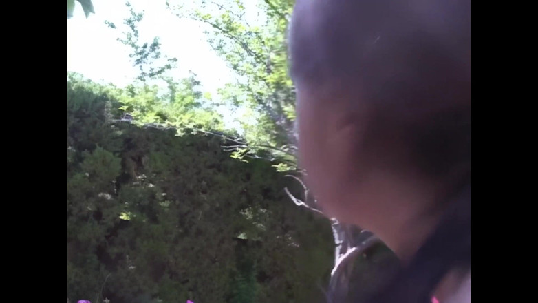 American Stallion: Nicole Parks, horká děvka