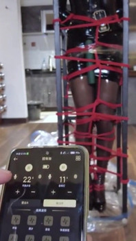Mz32 - metal bir cihaz içinde bağlı, titreşen bir doruk noktası.
