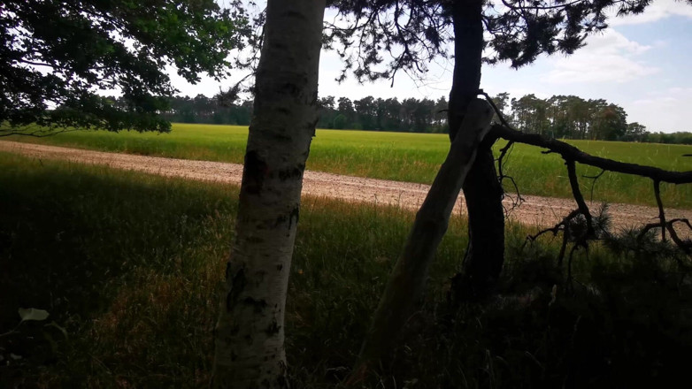 Bouncy Tits Action: Tvrdé a dobře fackované tlusté kozy