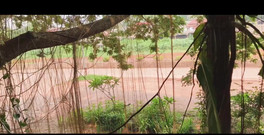 18_honey: Dobré ráno, nechtěla byste si dát kávu?