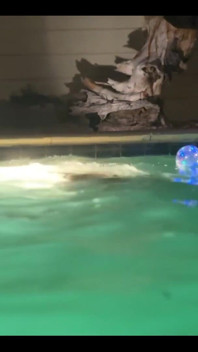 Between Two Days of Shooting I Got to Spend the Night Playing in a Warm Las Vegas Pool and Sipping a Daiquiri