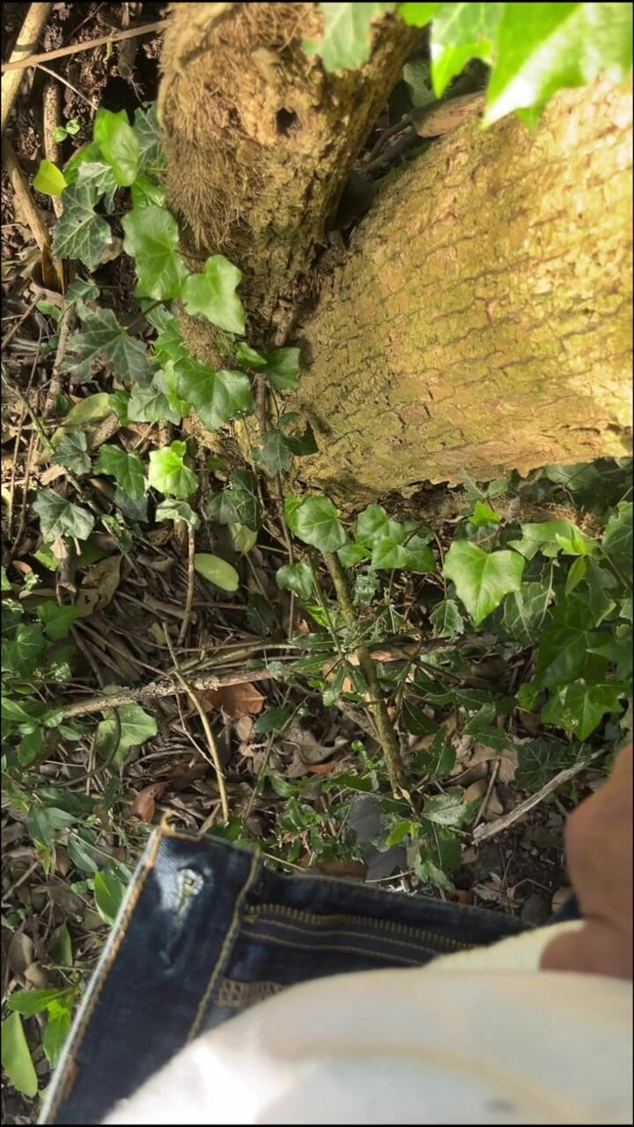 Nypster: Dangerous Wanking