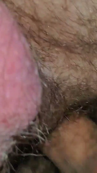Experience with Bear Stepdaddy