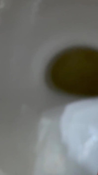 Pissing in the Toilet