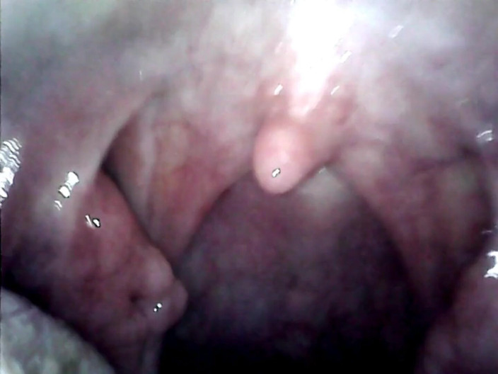 LizAngel: Put it in my mouth up to the balls
