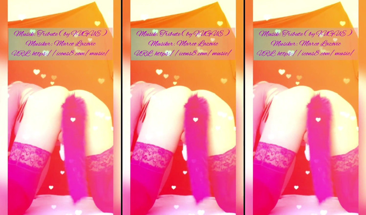 Sissy Adventures: Sissy kitty keuschheit