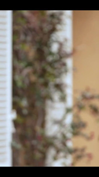 Swame House, French Porno Reality