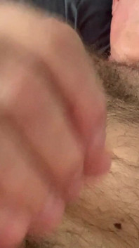 看看我的晨木