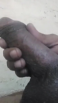 Batang hitam