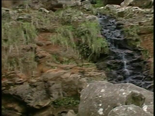 Pound Me Outside: Slut gets plowed by the waterfalls