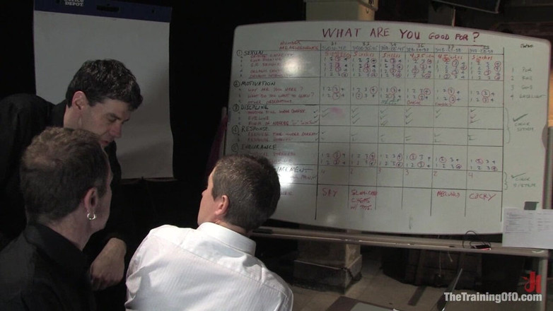 The Training of O by Kink: 审计员 第三部分