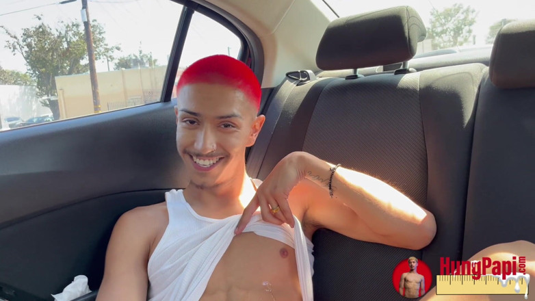 Hung Papi: 내 자지를 빨아주는 거유 밀프