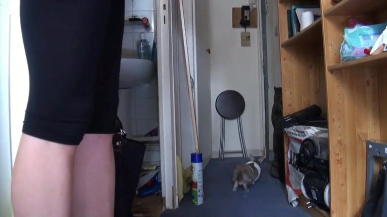Real Anal Stories: Picked up and sprayed on tits