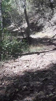 Madrasta da montanha faz uma caminhada pela natureza