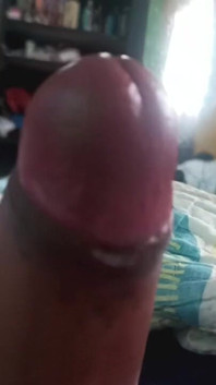 Chapin Pajeandose