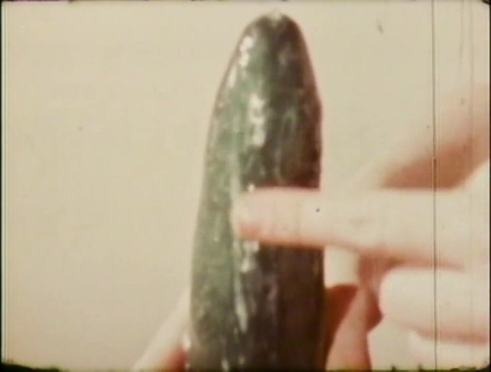Vintage Usa: Sweet young vintage girl take a big cock