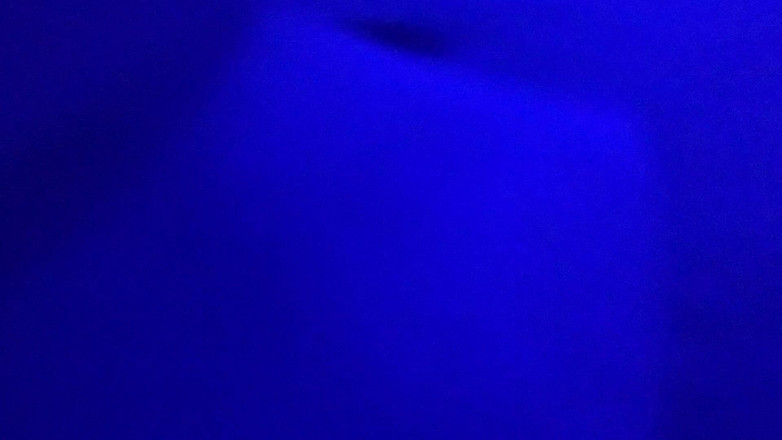 BlancaGirlBBW: 再び捕まえられた