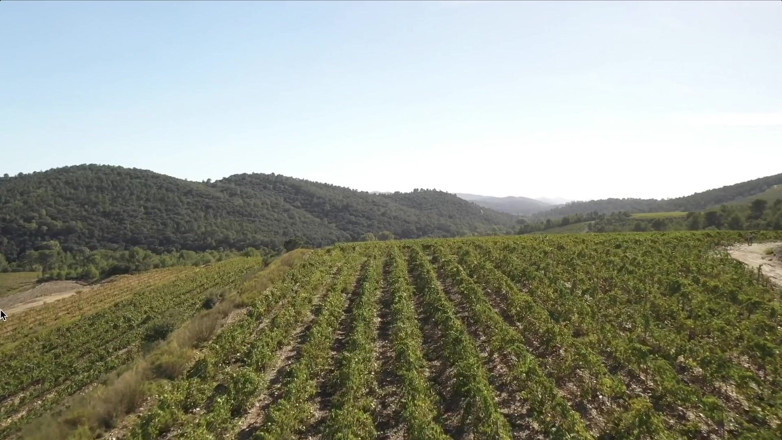 Jet sex prod: Parthouze em Var Vineyards