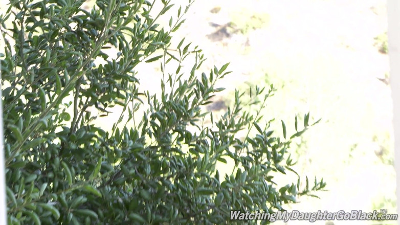 Watching My Daughter Go Black: New black stepdad wants to take care of his stepdaughter...