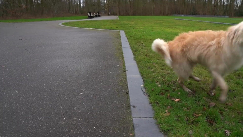 Dutch Greatness: Jentina Small a une grosse surprise pour son mari
