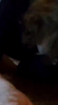 Sock Fetish Fanclub Video of the Month (ffvotm); April 2022