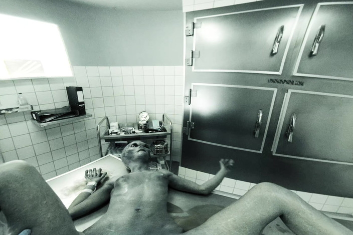 Xvirtual: X वर्चुअल 9 Roswell Ufo 180° में