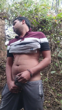 Solo en el bosque