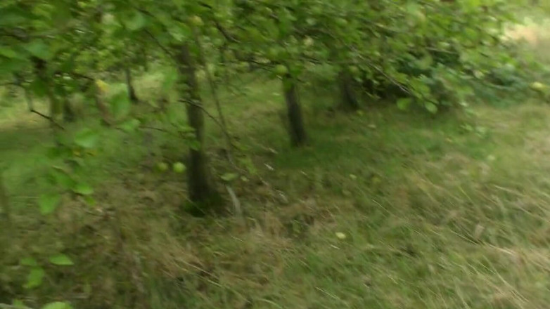 HPG Production: Horny Blonde 60 Year Old Mature Fucked Outdoors 5066