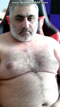 Solo Bear
