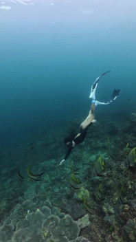 Just Dating the Ocean Will Be Back to Be Your Cum Slut Again Tomorrow