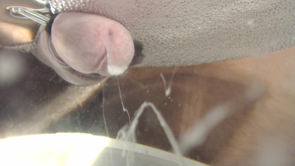 Wankulator Movies: Underwater closeup cumshot by Wankulator