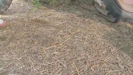 Full porn collection: patli kamsin khet par aautdor gand chudaee ke lie bahkaati...