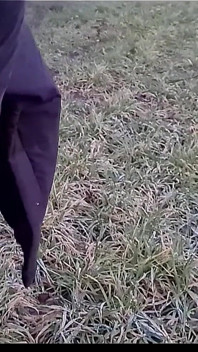 Německá blonďatá pawg teen lisa riskantně šuká venku na prvním rande