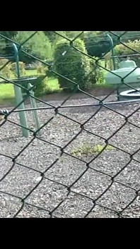 Jogger geneukt op straat