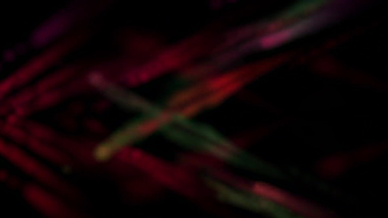 Tommy Wood XXX: Lumi ray nuova arrivata si scopa un grosso cazzo duro