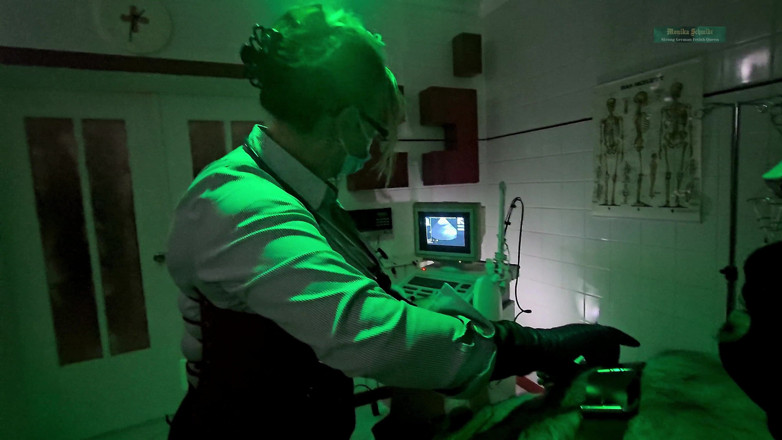 Strict Senz: Lembaga Perawatan Medis Lembaga Pemasyarakatan Pemeriksaan Kedua