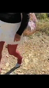 Тур в лесу 3