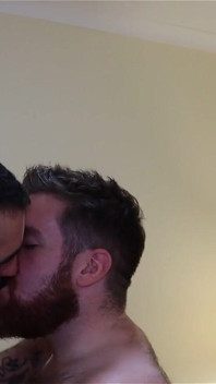 Bears Kissing