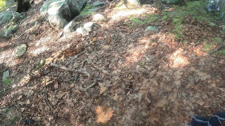 Lexi And Miles: Uwielbiamy być na zewnątrz i być perwersyjne