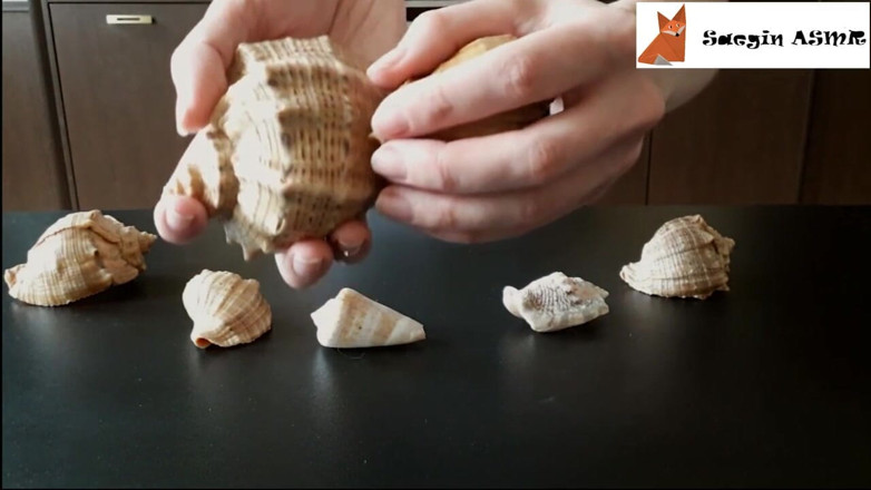 Saegin: 1 [ASMR] Se caresser et gratter les coquillages (pas de conversation)