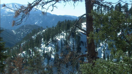 Perv Milfs n Teens: Velicity Von Rocks this hřebci svět s jejími velkými prsy...