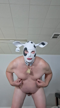 I Need Someone to Milk My Udders