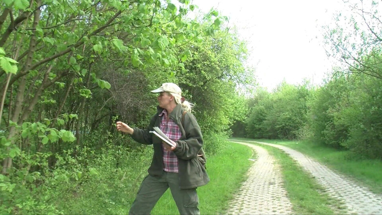 Erotic Club: Wilde sexgeschichten aus dem wald!