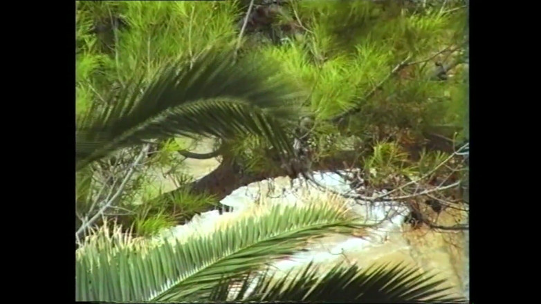 The Unforgettable: Wie Spannend