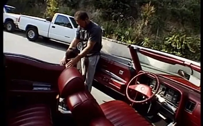 SinWorld - Just the best in porn: Caution Piston Seizure