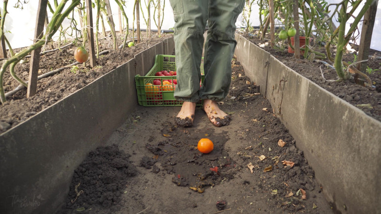 Teasecombo 4K: Écrasement de tomates pieds nus dans la saleté ASMR