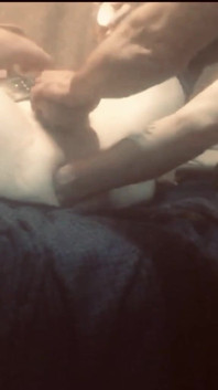 Sissyfist