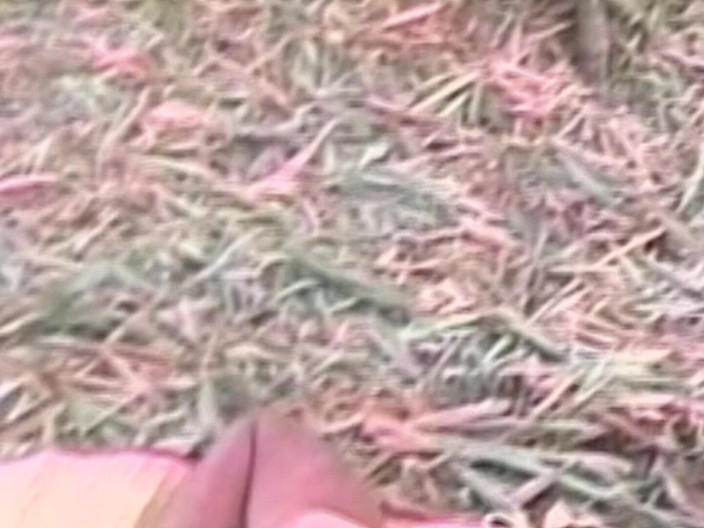SEXUAL SIN GAY: Latin Cocks Scene-4_latino Gays Like to Fuck in the Countryside...